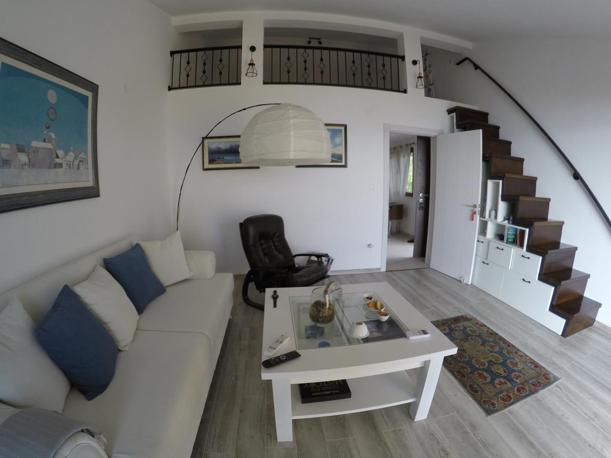Loft Infinity Apartman Petrovac Kültér fotó