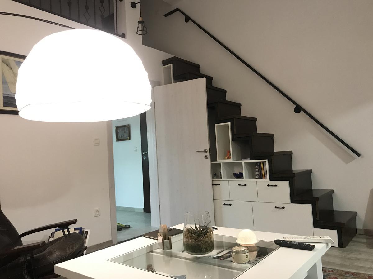 Loft Infinity Apartman Petrovac Kültér fotó