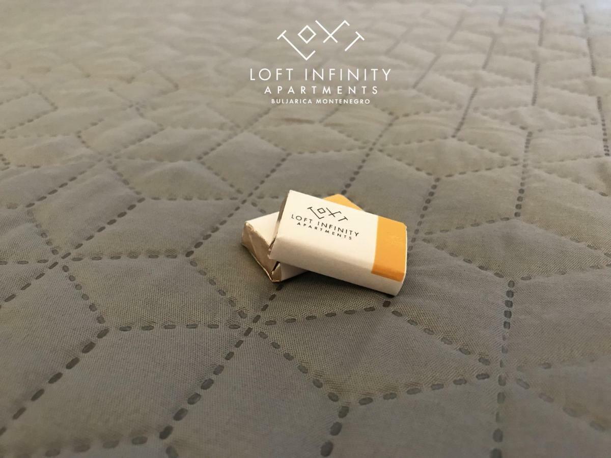 Loft Infinity Apartman Petrovac Kültér fotó
